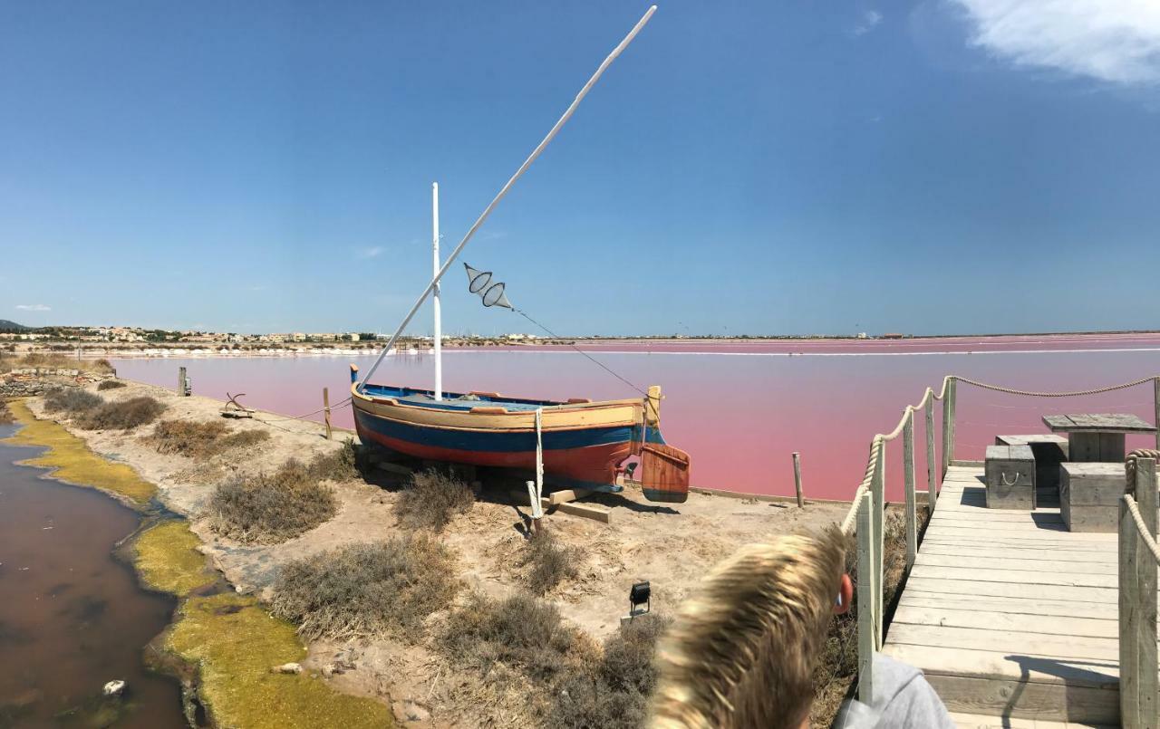 T 3 Appart Les Jardins Du Phoebus Gruissan Dış mekan fotoğraf